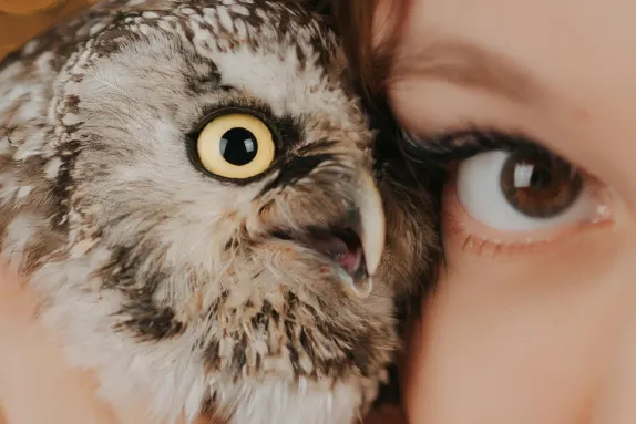 CasinoCasino Kasino Podpora